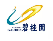 洪山碧桂园地产
